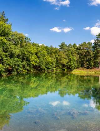 Lake near Zeist, Utrechtse Heuvelrug, Utrecht, Netherlands