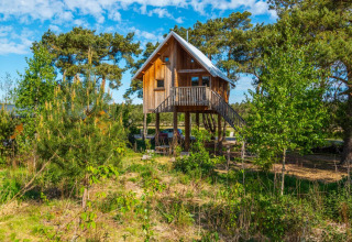 Treehouse - EuroParcs De Wije Werelt - Otterlo, Gelderland, Netherlands