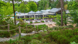 Terras van restaurant - EuroParcs Maasduinen - Belfeld, Limburg, Nederland